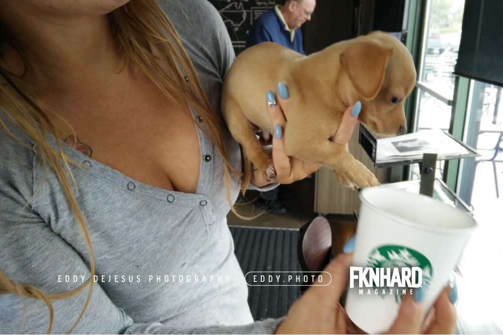 eddy-dejesus-photography-fknhard-magazine-starbucks-puppuccino-whip-cream-drink-cute-puppy